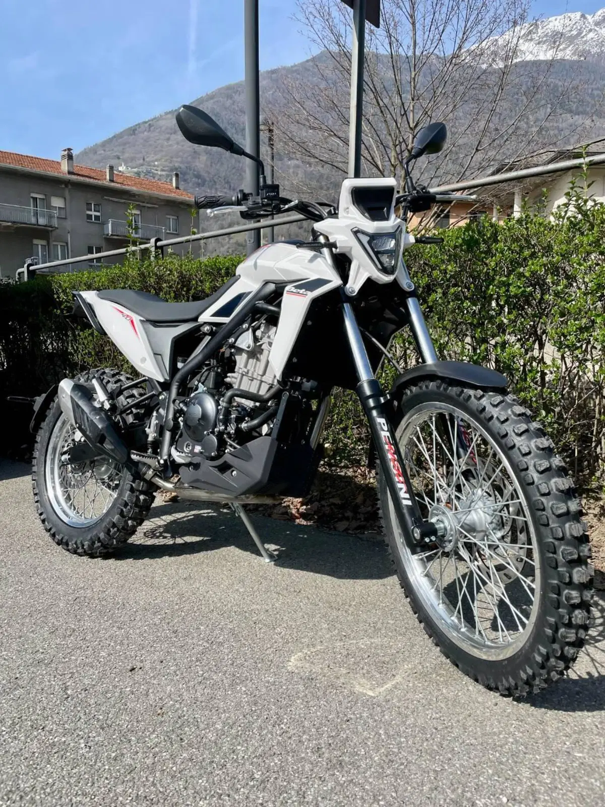 Betamotor Alp 4.0 (2024 - 26) (2)