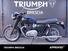 Triumph Bonneville T120 (2021 - 24) (13)