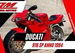 Ducati 916 SP Monoposto (1994 - 96) usata