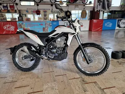 Betamotor Alp 4.0 (2024 - 26) nuova