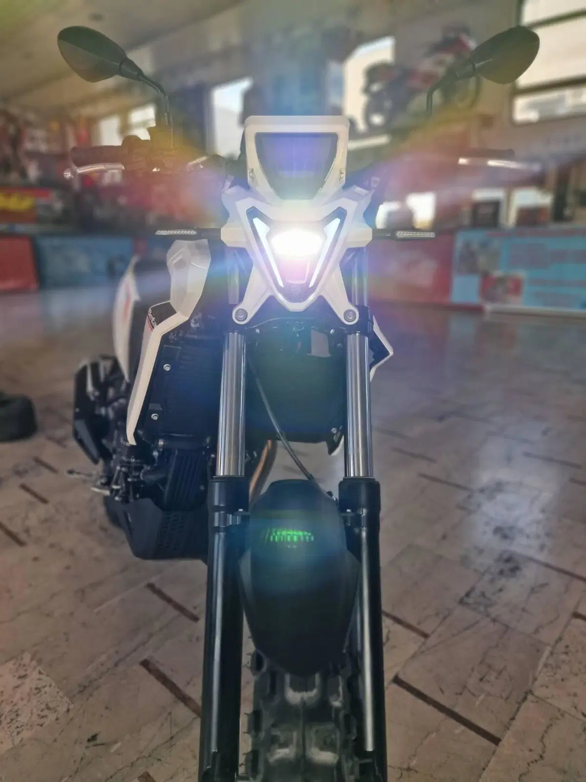 Betamotor Alp 4.0 (2024 - 26) (3)