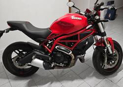 Ducati Monster 797 (2019 - 20) usata