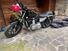 Harley-Davidson Sportster 1200 (14)