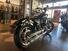 Harley-Davidson Softail Standard (2021 - 24) (7)