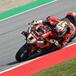 SBK 2024. GP della Catalogna. In Gara2, vittoria di Bautista e dominio Ducati [GALLERY]