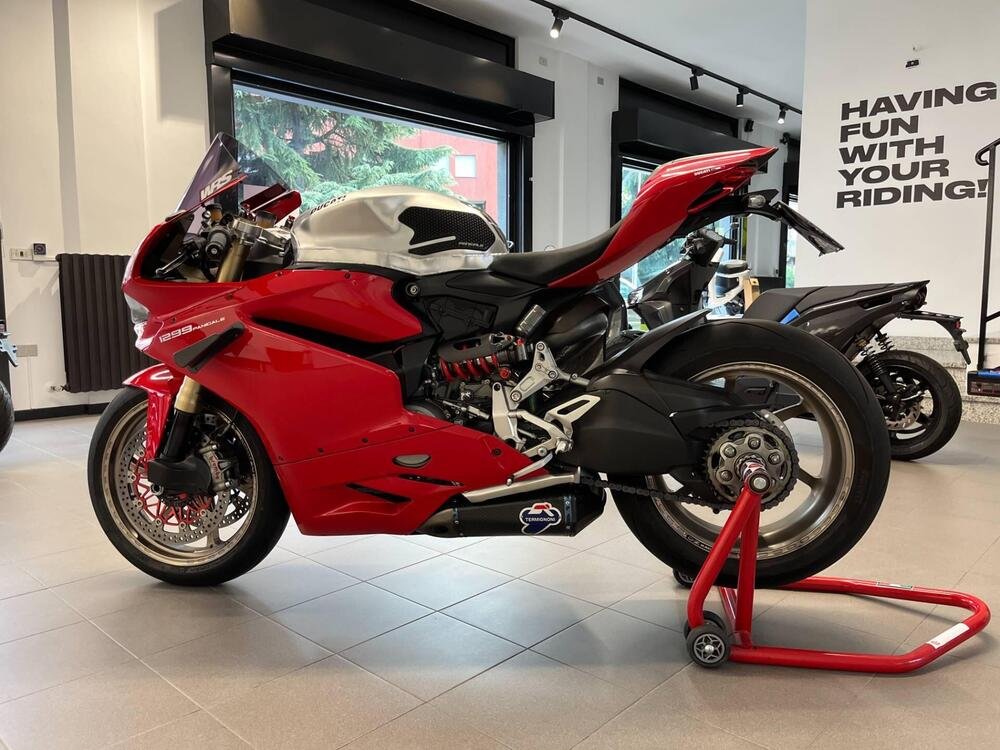 Ducati 1299 Panigale (2015 - 17) (2)