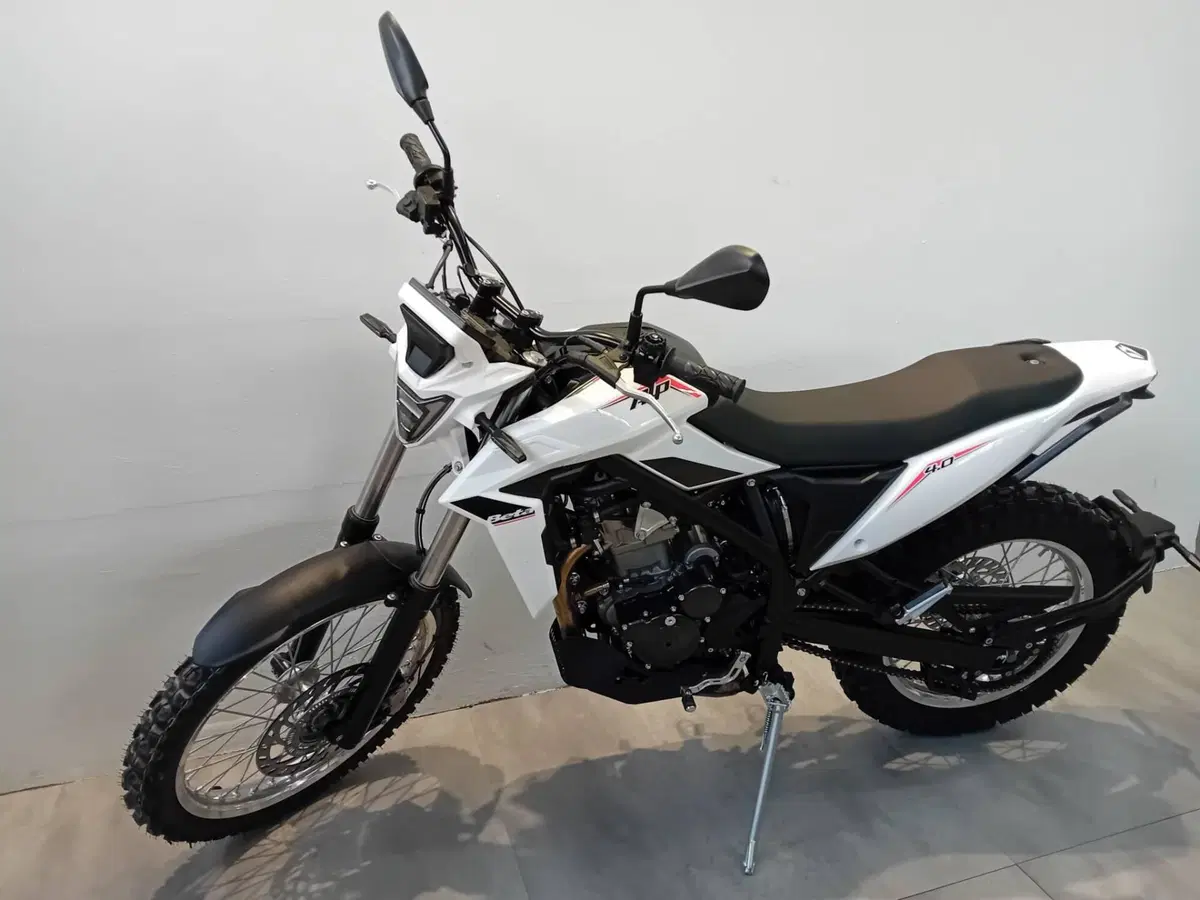 Betamotor Alp 4.0 (2024 - 26) (2)