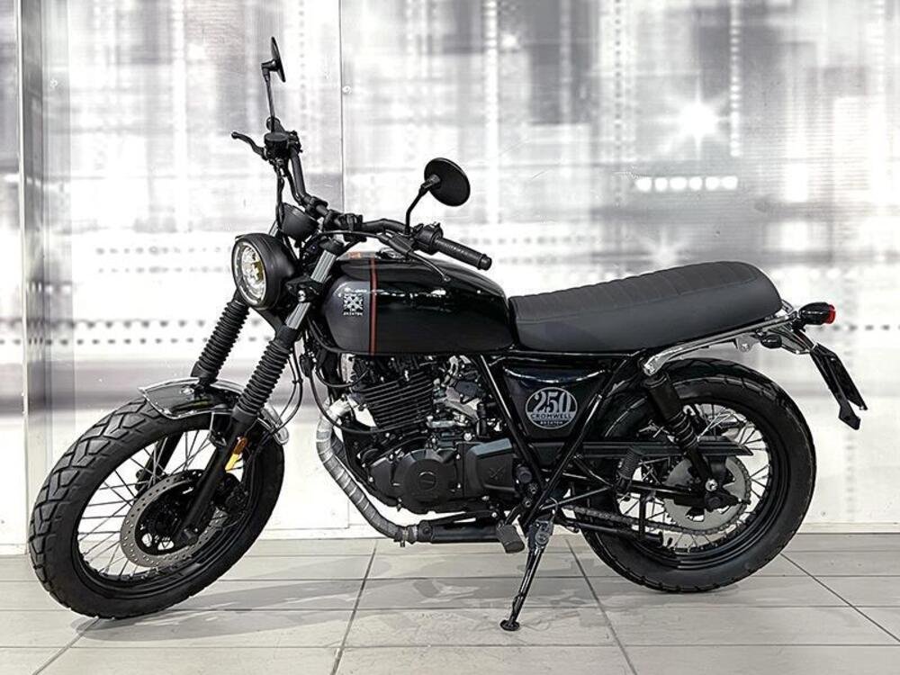 Brixton Motorcycles Cromwell 250 (2021 - 24) (5)