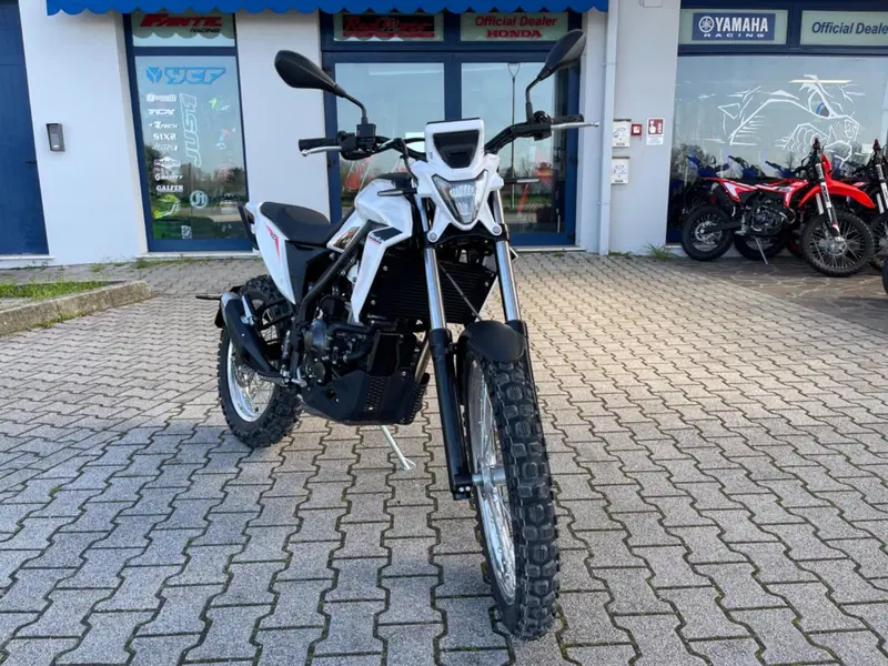 Betamotor Alp 4.0 (2024 - 26) (10)