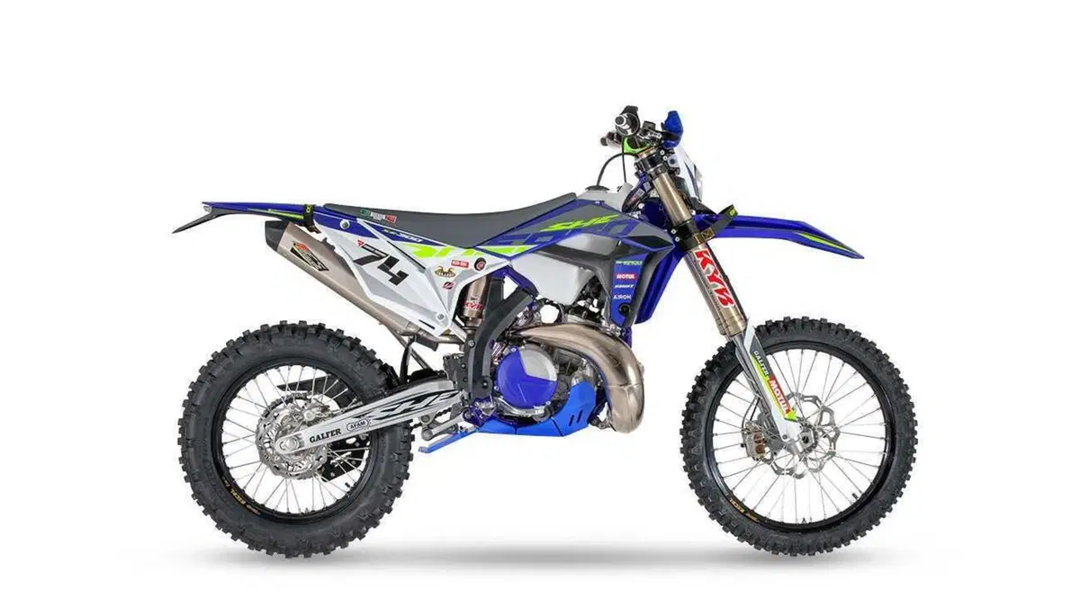 Sherco 300 SE 300 SE Mario Román Replica (2024) (2)