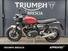 Triumph Speed Twin 1200 (2021 - 24) (12)