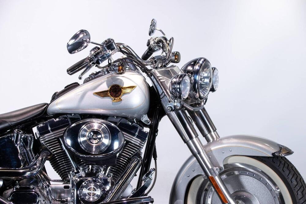 Harley-Davidson FAT BOY ANNIVERSARY EDITION (2)