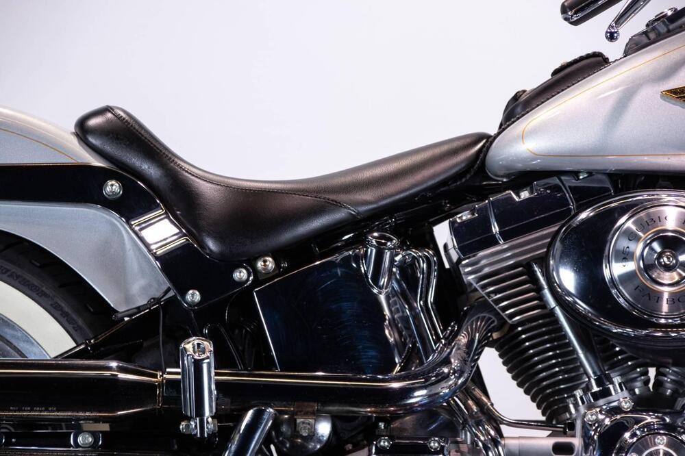Harley-Davidson FAT BOY ANNIVERSARY EDITION (3)