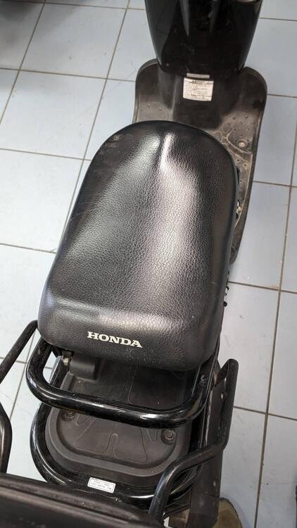 Honda Zoomer (5)