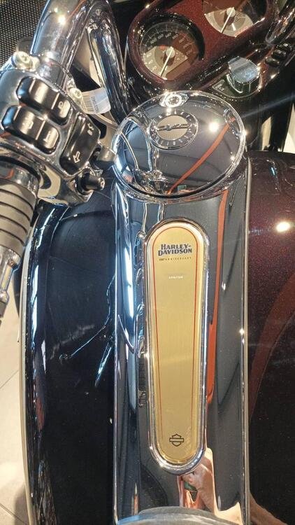 Harley-Davidson CVO Road Glide Limited Anniversary (2023) (4)