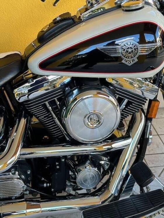 Harley-Davidson 1340 Heritage Special (1993 - 96) (2)