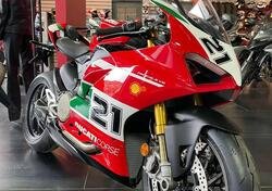 Ducati Panigale V2 Bayliss 1st Championship 20th Anniversary (2021 - 24) nuova