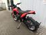 Betamotor Alp 4.0 (2024) (6)