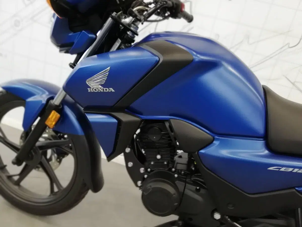 Honda CB 125 F (2021 - 25) (4)