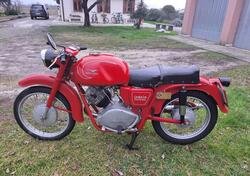 Moto Guzzi Lodola 235gt d'epoca