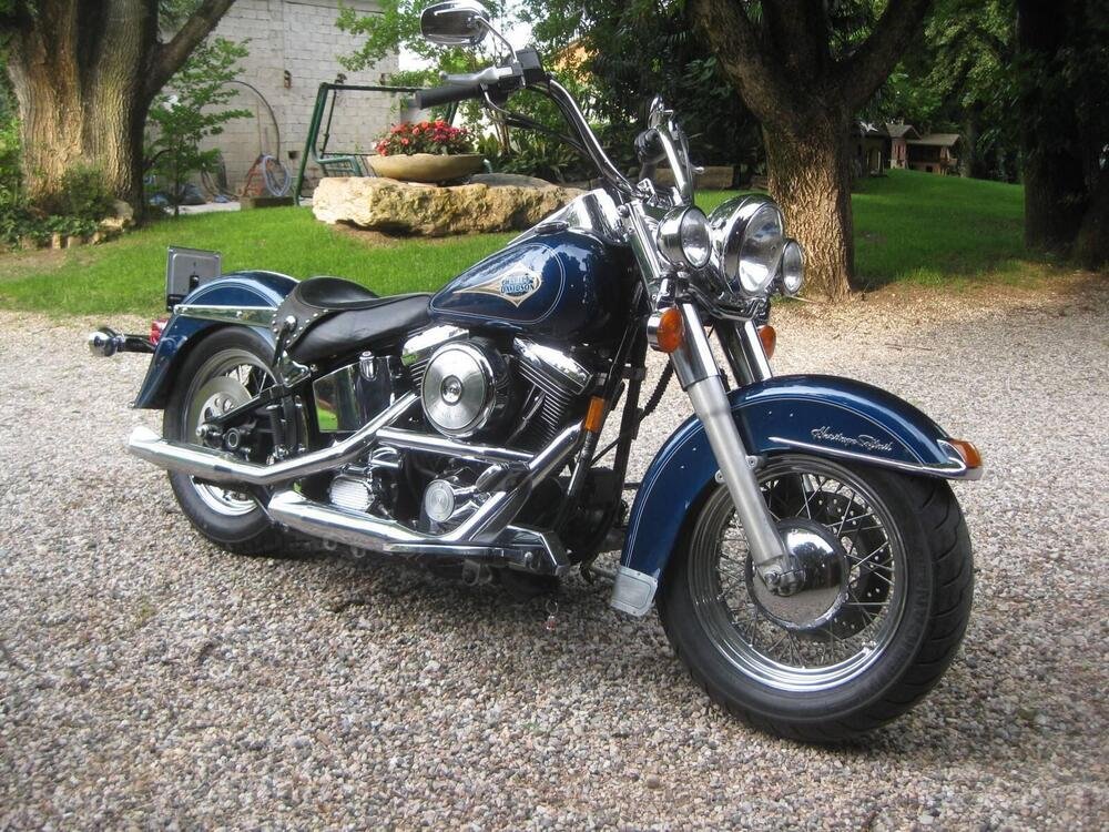 Harley-Davidson 1340 Custom (1989 - 1998) (2)