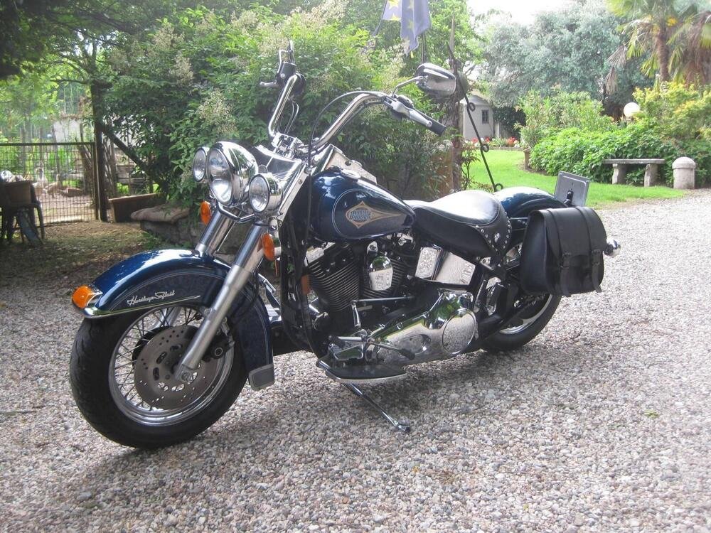 Harley-Davidson 1340 Custom (1989 - 1998) (3)