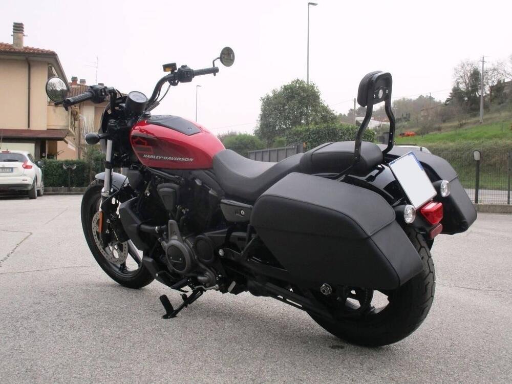 Harley-Davidson Nightster (2023 - 24) (4)