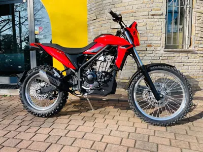 Betamotor Alp 4.0 (2024 - 26) nuova