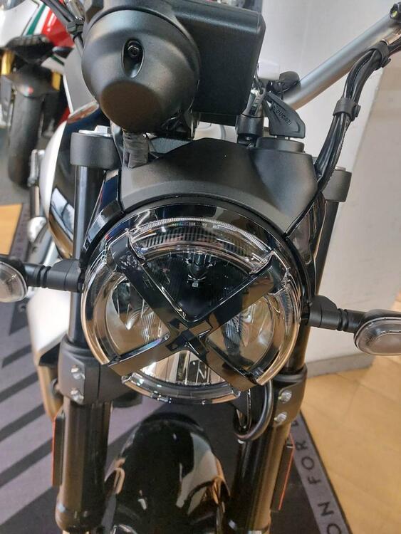 Ducati Scrambler 800 Icon (2023 - 24) (5)