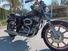 Harley-Davidson Sportster ironhead  (9)