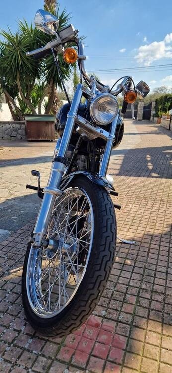 Harley-Davidson Softail  (3)