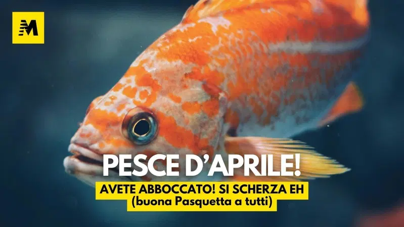 Pesce d'aprile!
