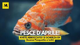 Pesce d'aprile!