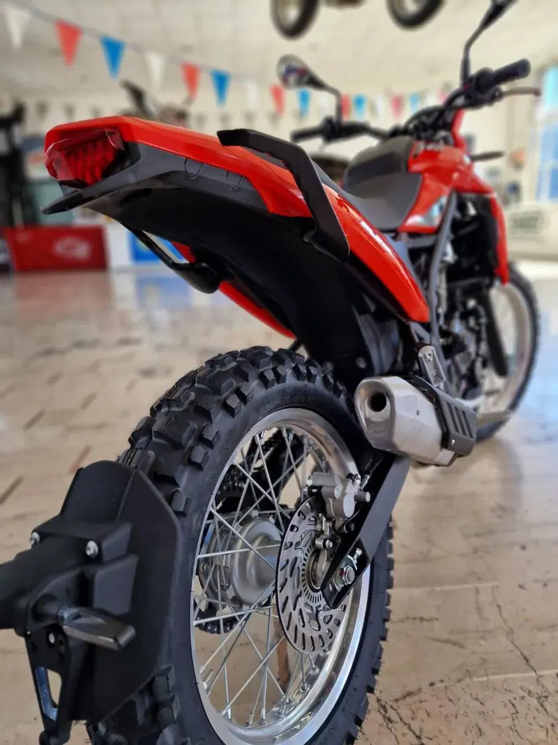 Betamotor Alp 4.0 (2024 - 26) (7)
