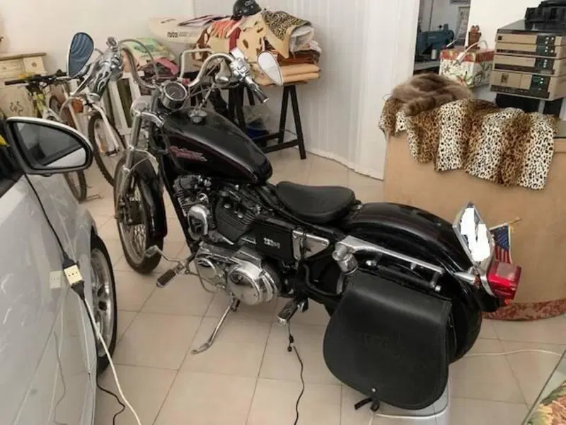 Harley-Davidson 1200 Custom (2001 - 03) - XL 1200C (3)