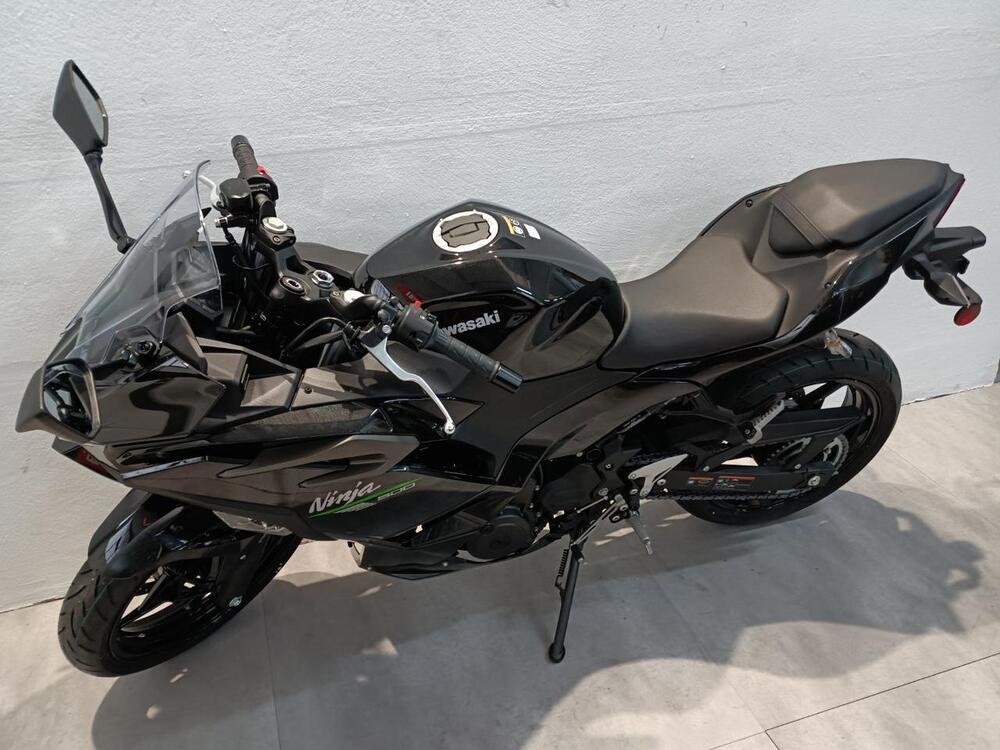 Kawasaki Ninja 400 (2018 - 20) (2)