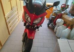 Honda CBF 1000 usata