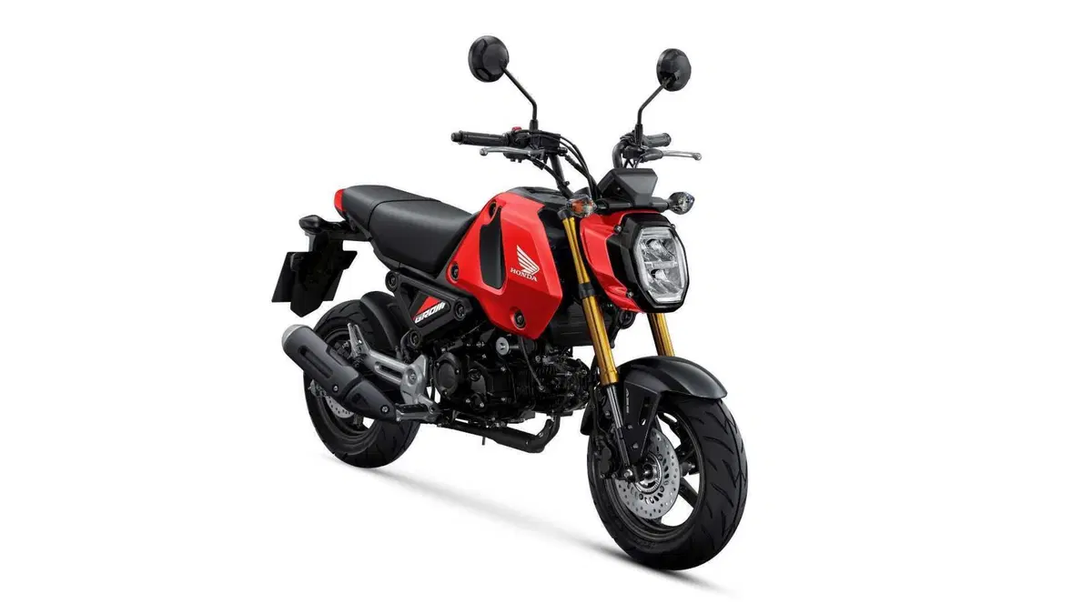 Honda MSX 125 MSX 125 Grom (2021 - 26) (7)