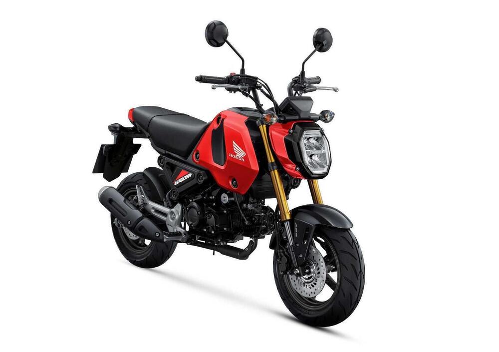 Honda MSX 125 Grom (2021 - 24) (5)