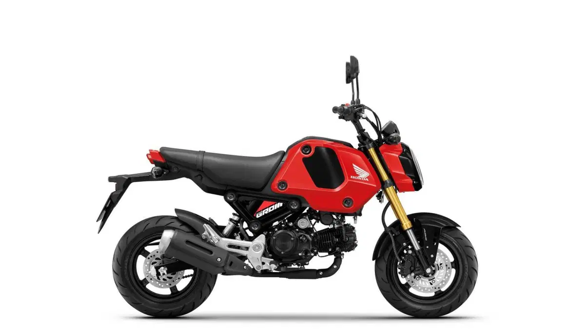 Honda MSX 125 MSX 125 Grom (2021 - 26) (8)