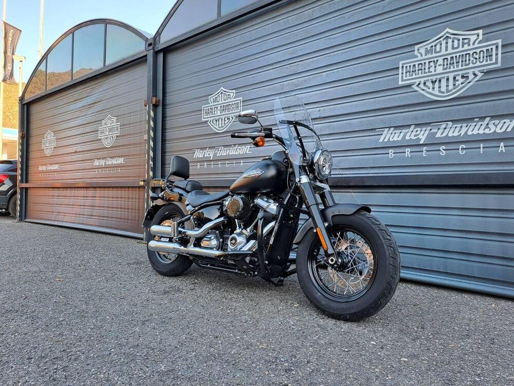 Harley-Davidson 107 Slim (2018 - 20) - FLSL (3)
