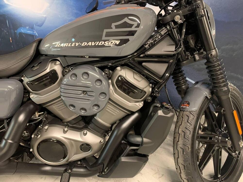 Harley-Davidson Nightster (2023 - 24) (5)