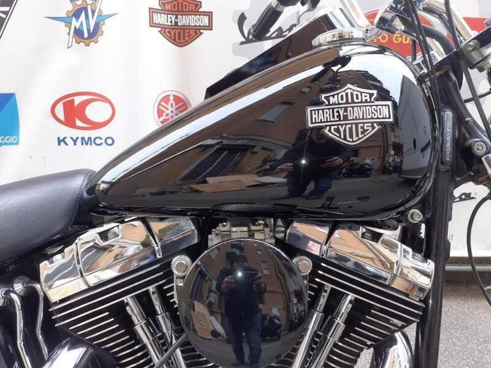 Harley-Davidson 1584 Custom (2007) - FXSTC (5)