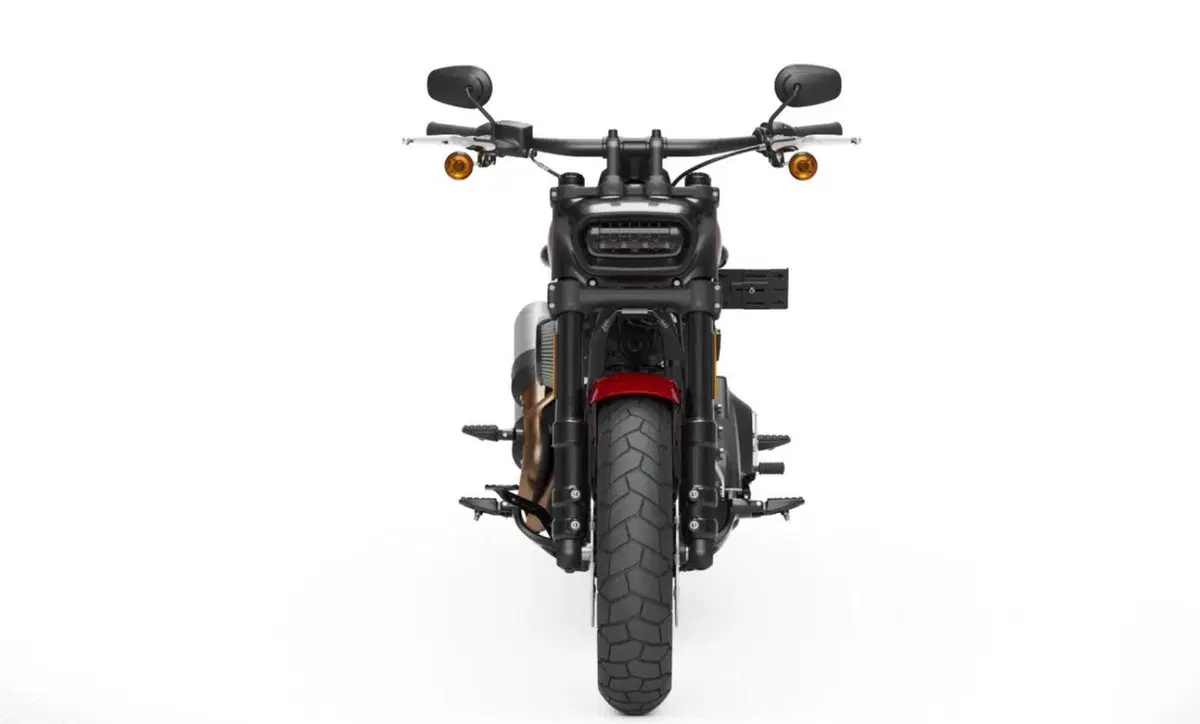 Harley-Davidson Softail-Cruiser Fat Bob 114 (2021 - 25) (3)