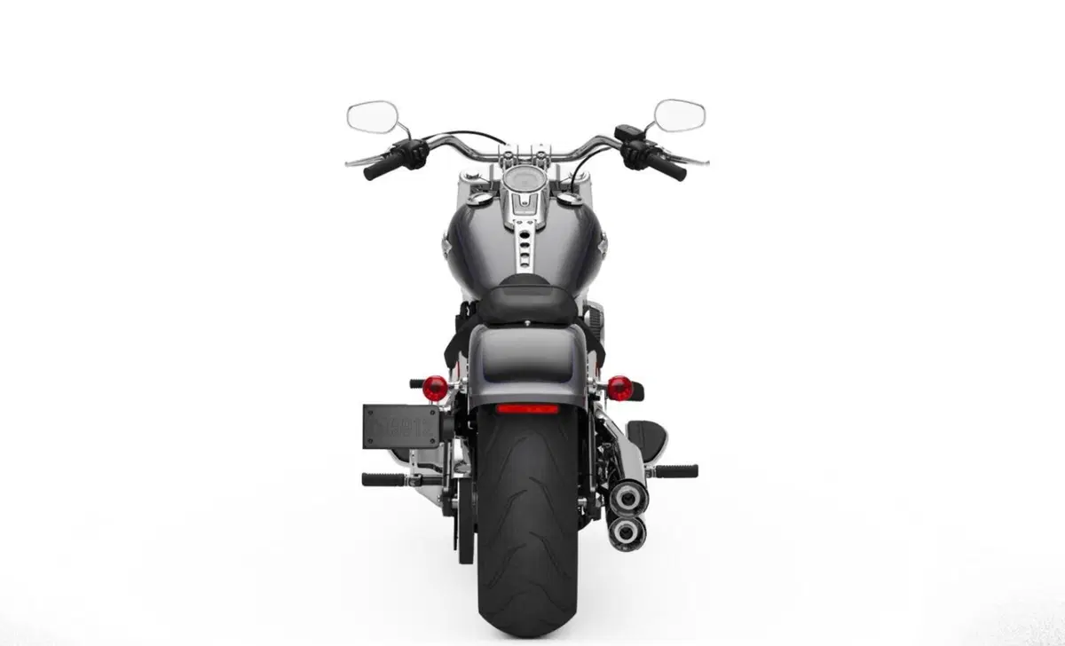 Harley-Davidson Softail-Cruiser Fat Boy 114 (2021 - 24) (2)