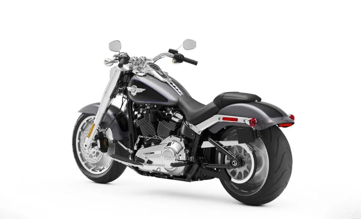 Harley-Davidson Softail-Cruiser Fat Boy 114 (2021 - 24) (3)