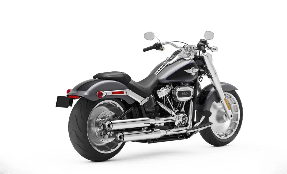 Harley-Davidson Softail-Cruiser Fat Boy 114 (2021 - 24) (4)