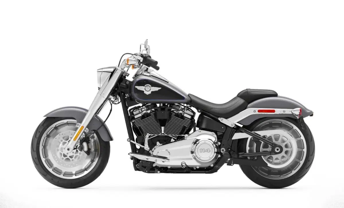 Harley-Davidson Softail-Cruiser Fat Boy 114 (2021 - 24) (5)