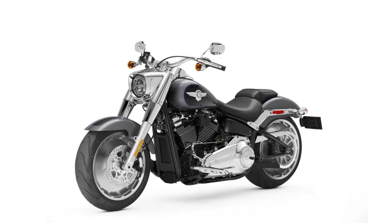 Harley-Davidson Softail-Cruiser Fat Boy 114 (2021 - 24) (7)