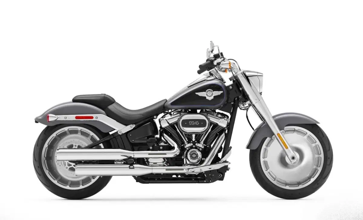 Harley-Davidson Softail-Cruiser Fat Boy 114 (2021 - 24) (8)
